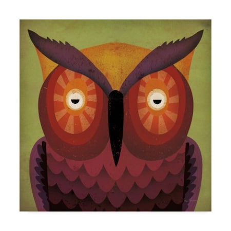Ryan Fowler 'Owl Wow' Canvas Art,18x18